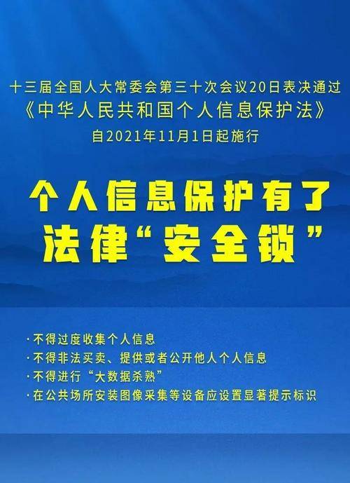 2025新澳正版资料最新更新|精选解释解析落实