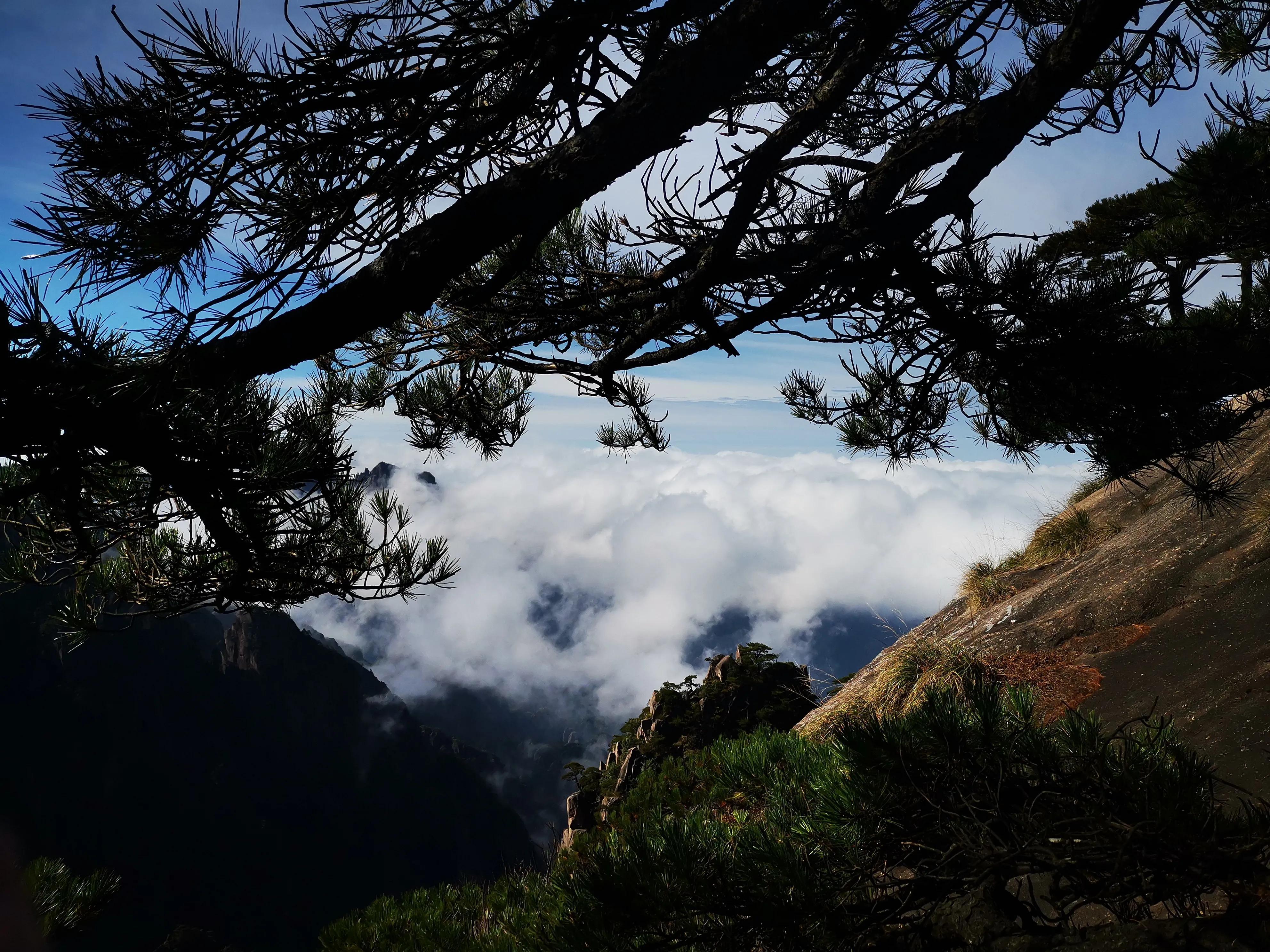 黄山最新价格概览与旅游体验分享