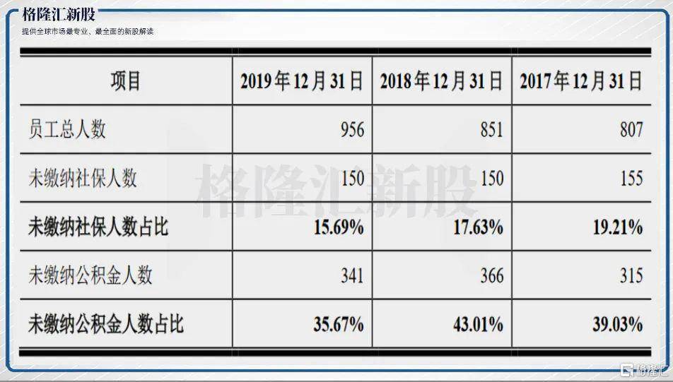 大地熊最新动态，创新与发展引领未来